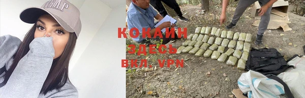 mdma Кукмор
