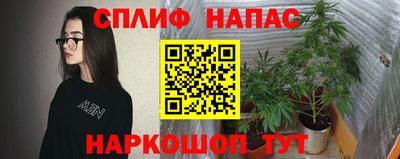 spice Пенза