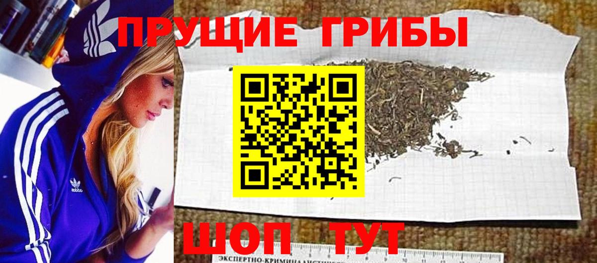 Галлюциногенные грибы мухоморы  Псилоцибиновые грибы мицелий  Реж  Вход с VPN 